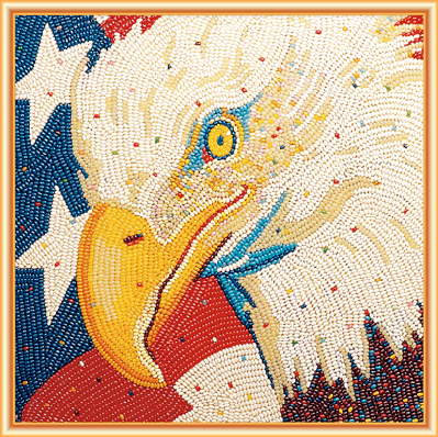 American Bald Eagle